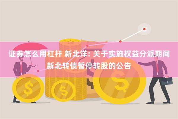 证券怎么用杠杆 新北洋: 关于实施权益分派期间新北转债暂停转股的公告