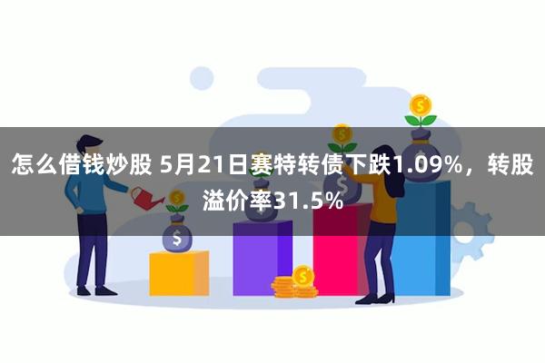 怎么借钱炒股 5月21日赛特转债下跌1.09%，转股溢价率31.5%