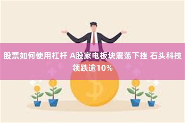 股票如何使用杠杆 A股家电板块震荡下挫 石头科技领跌逾10%