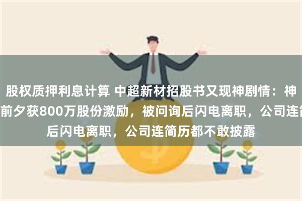 股权质押利息计算 中超新材招股书又现神剧情：神秘人力总监IPO前夕获800万股份激励，被问询后闪电离职，公司连简历都不敢披露