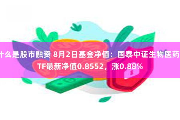 什么是股市融资 8月2日基金净值：国泰中证生物医药ETF最新净值0.8552，涨0.88%