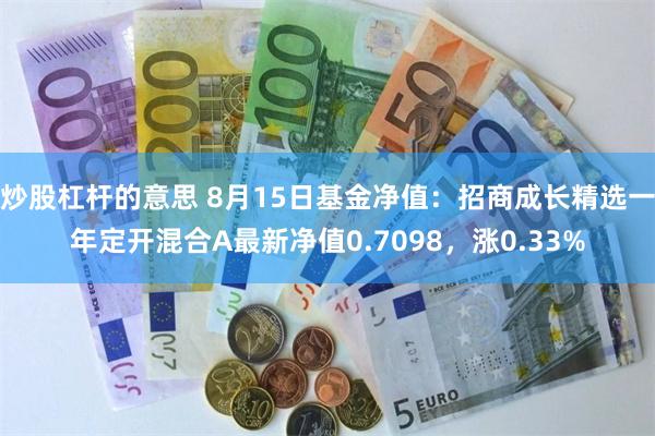 炒股杠杆的意思 8月15日基金净值：招商成长精选一年定开混合A最新净值0.7098，涨0.33%