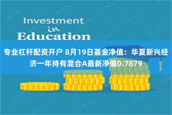 专业杠杆配资开户 8月19日基金净值：华夏新兴经济一年持有混合A最新净值0.7879