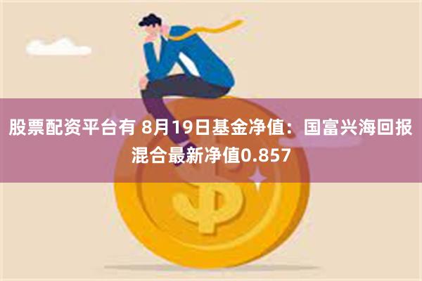 股票配资平台有 8月19日基金净值：国富兴海回报混合最新净值0.857