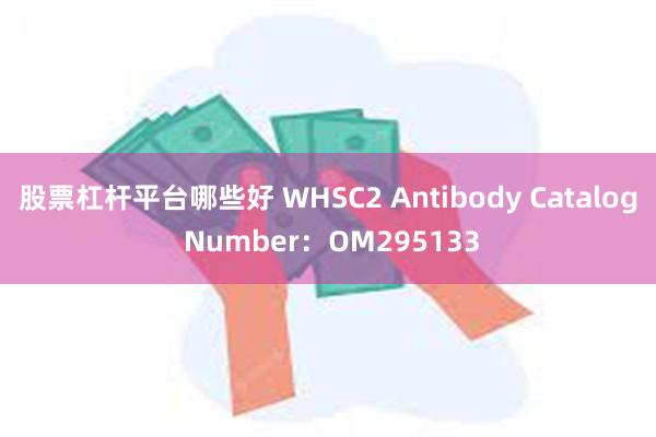 股票杠杆平台哪些好 WHSC2 Antibody Catalog Number：OM295133