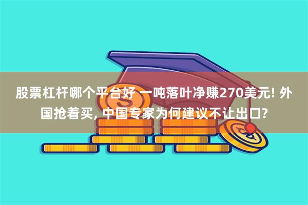 股票杠杆哪个平台好 一吨落叶净赚270美元! 外国抢着买, 中国专家为何建议不让出口?