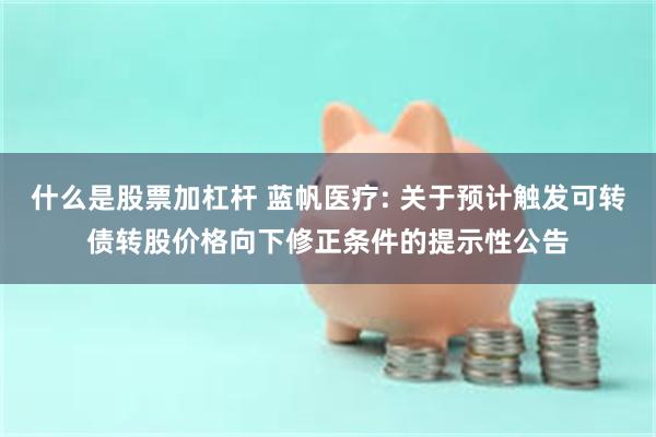 什么是股票加杠杆 蓝帆医疗: 关于预计触发可转债转股价格向下修正条件的提示性公告