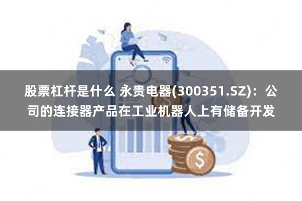 股票杠杆是什么 永贵电器(300351.SZ)：公司的连接器产品在工业机器人上有储备开发