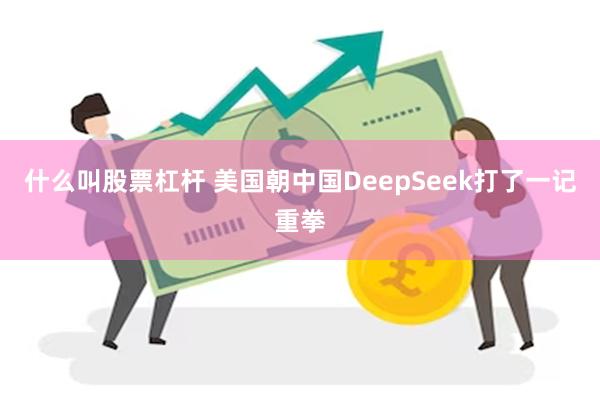 什么叫股票杠杆 美国朝中国DeepSeek打了一记重拳