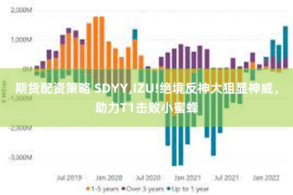 期货配资策略 SDYY,IZU!绝境反神大狙显神威，助力T1击败小蜜蜂