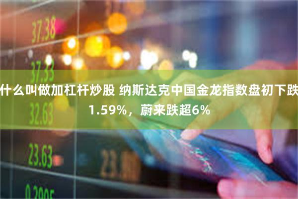 什么叫做加杠杆炒股 纳斯达克中国金龙指数盘初下跌1.59%，蔚来跌超6%